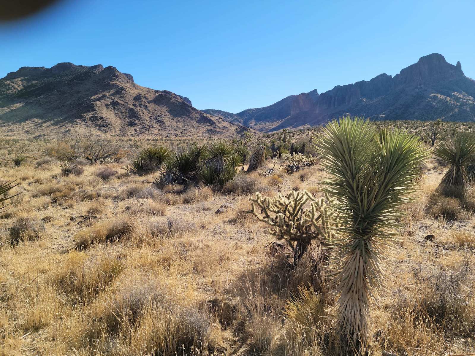 22 Vikings Camp and Cabin - Dolan Springs, Arizona - glamping.directory