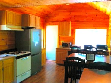 Rustic and Cozy Cabin Rental near Cherry Springs State Park, Pennsylvania - Galeton, Pennsylvania - glamping.directory