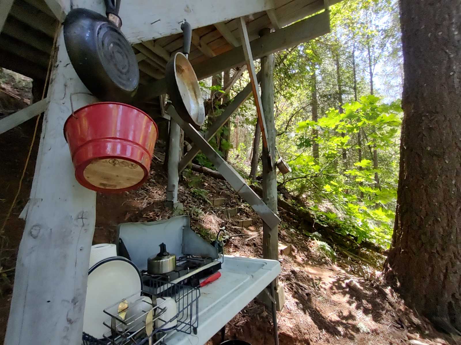 Forest Mountain Treehouse Retreat - Nevada City, California - glamping.directory
