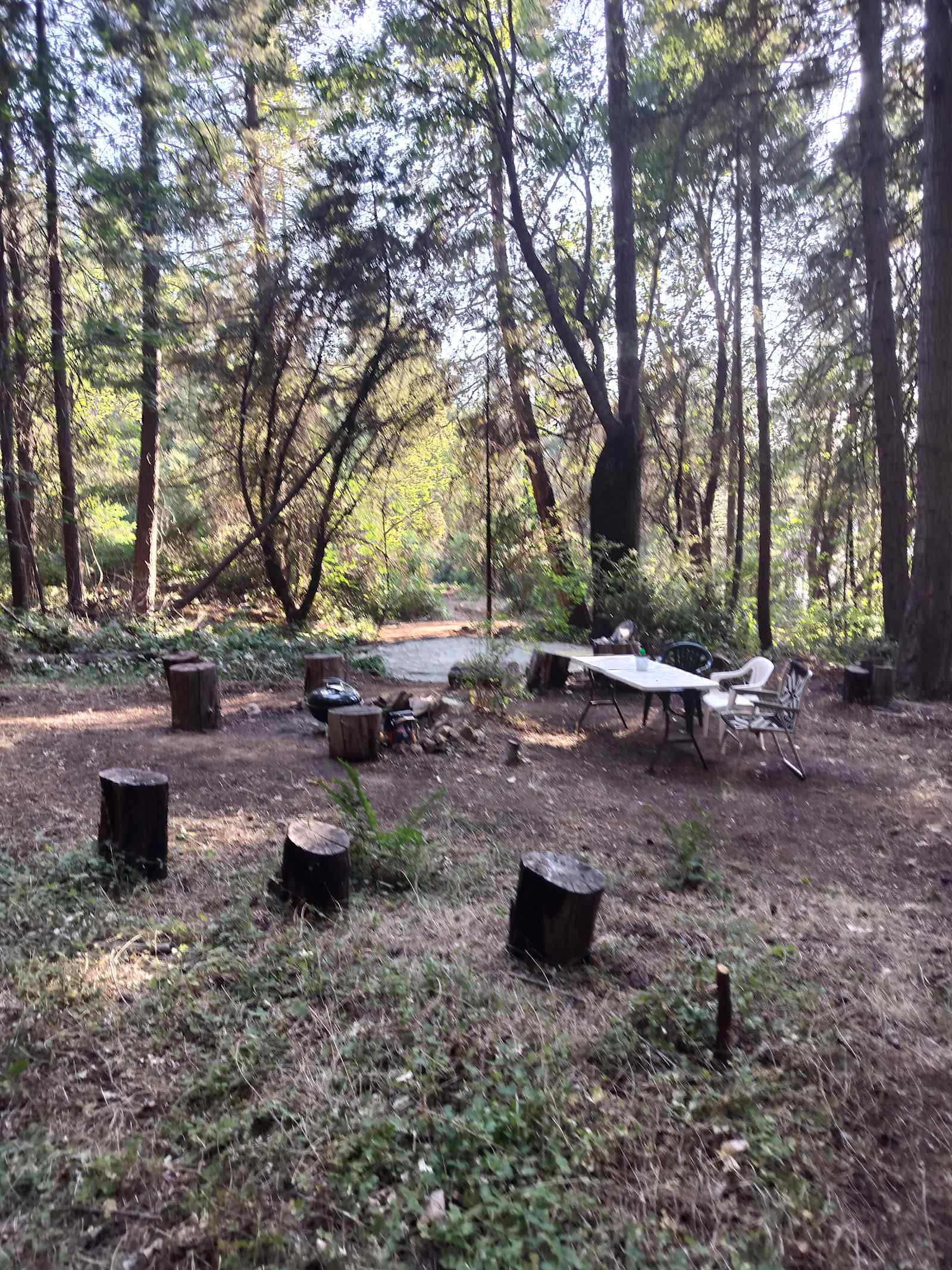 Forest Mountain Treehouse Retreat - Nevada City, California - glamping.directory