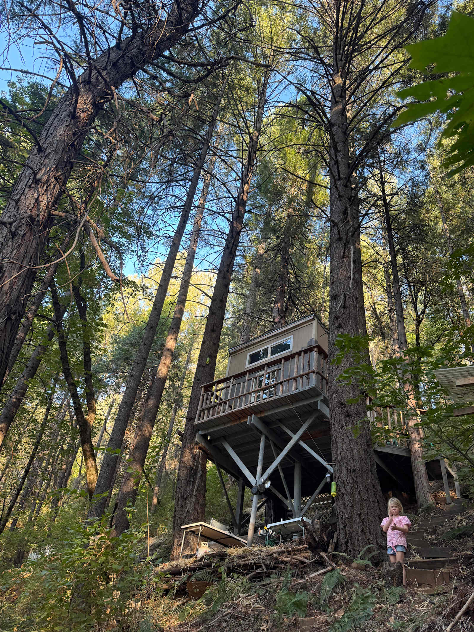 Forest Mountain Treehouse Retreat - Nevada City, California - glamping.directory
