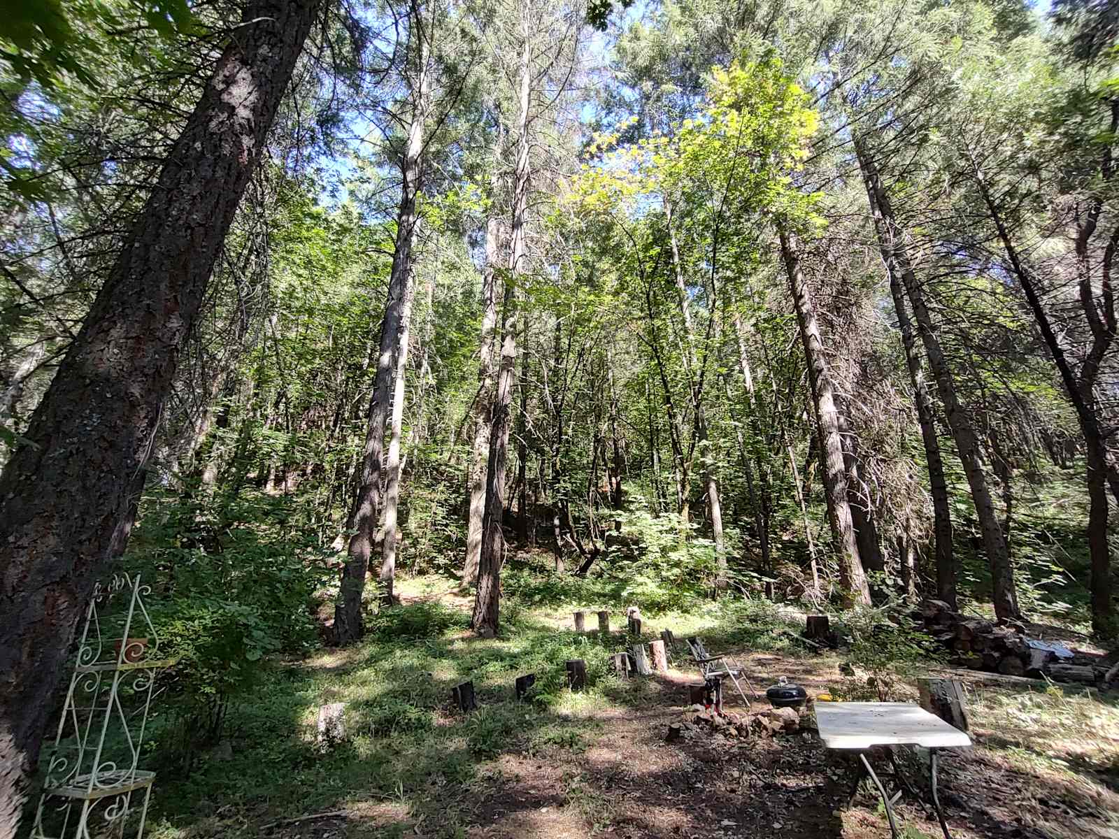 Forest Mountain Treehouse Retreat - Nevada City, California - glamping.directory