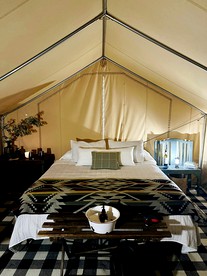 Colorado Getaways in this Lovely Safari Tent on Working Sheep Farm in Longmont - Longmont, Colorado - glamping.directory