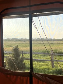 Colorado Getaways in this Lovely Safari Tent on Working Sheep Farm in Longmont - Longmont, Colorado - glamping.directory