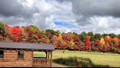 Cozy Studio Cabin Surrounded by Nature for a Peaceful Getaway near Gallipolis, Ohio - Gallipolis, Ohio - glamping.directory