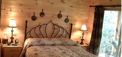 Rustic Log Cabin Rental with Picnic Area in Cosby, Tennessee - Cosby, Tennessee - glamping.directory