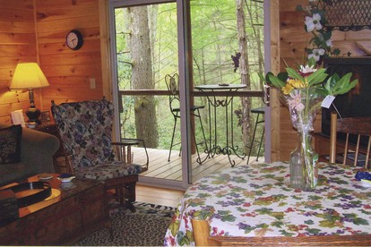 Rustic Log Cabin Rental with Picnic Area in Cosby, Tennessee - Cosby, Tennessee - glamping.directory