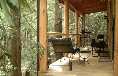 Rustic Log Cabin Rental with Picnic Area in Cosby, Tennessee - Cosby, Tennessee - glamping.directory