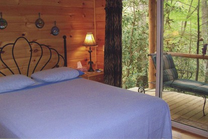 Rustic Log Cabin Rental with Picnic Area in Cosby, Tennessee - Cosby, Tennessee - glamping.directory