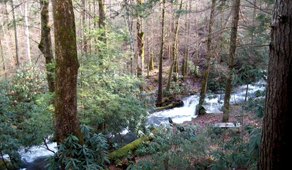 Rustic Log Cabin Rental with Picnic Area in Cosby, Tennessee - Cosby, Tennessee - glamping.directory
