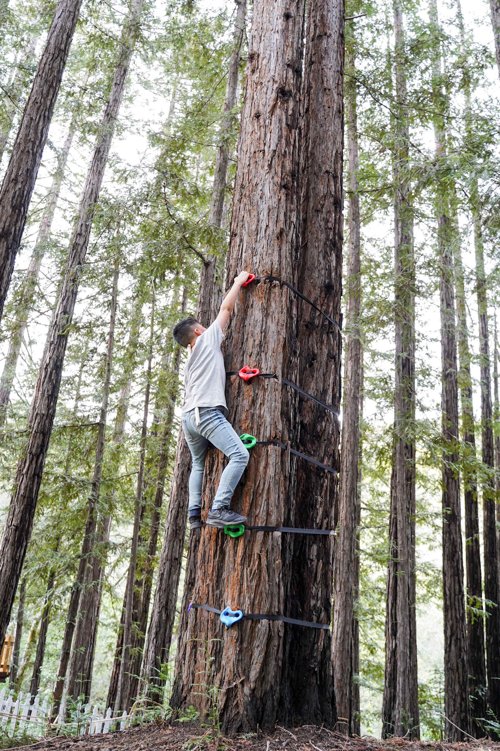 Redwood Ranch with Sweeping View - Gilroy, California - glamping.directory