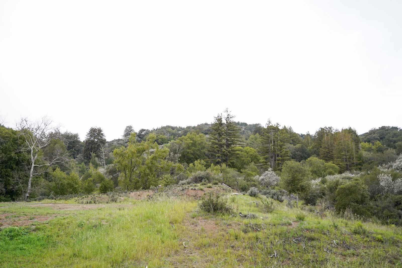 Redwood Ranch with Sweeping View - Gilroy, California - glamping.directory