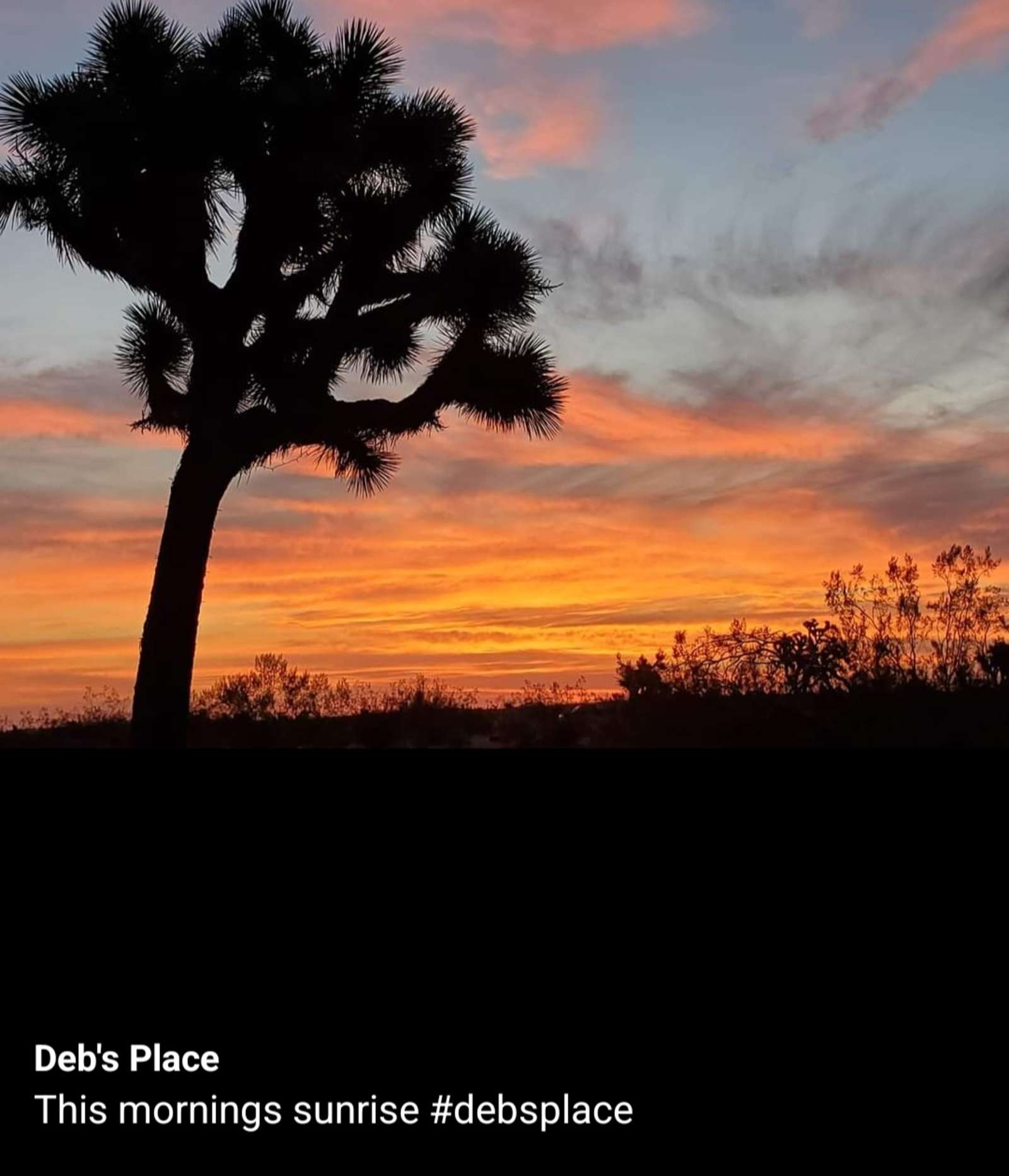 Camp Deb's Place - glamping.directory