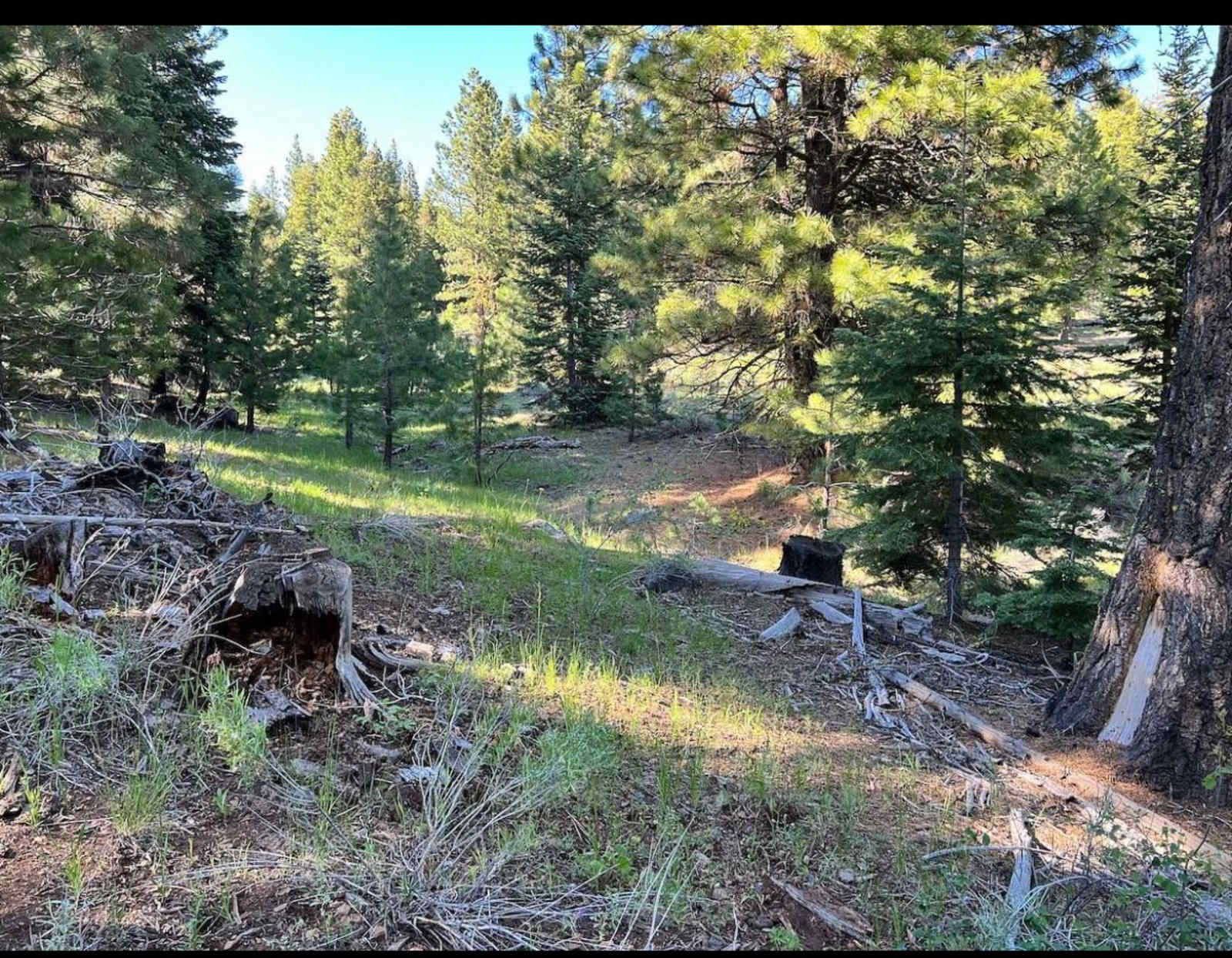 Sun Up Run Up Ranch - Westmont, California - glamping.directory