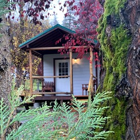 Cozy Studio-Style Cabin for a Glamping Getaway in Clearwater, Oregon - glamping.directory