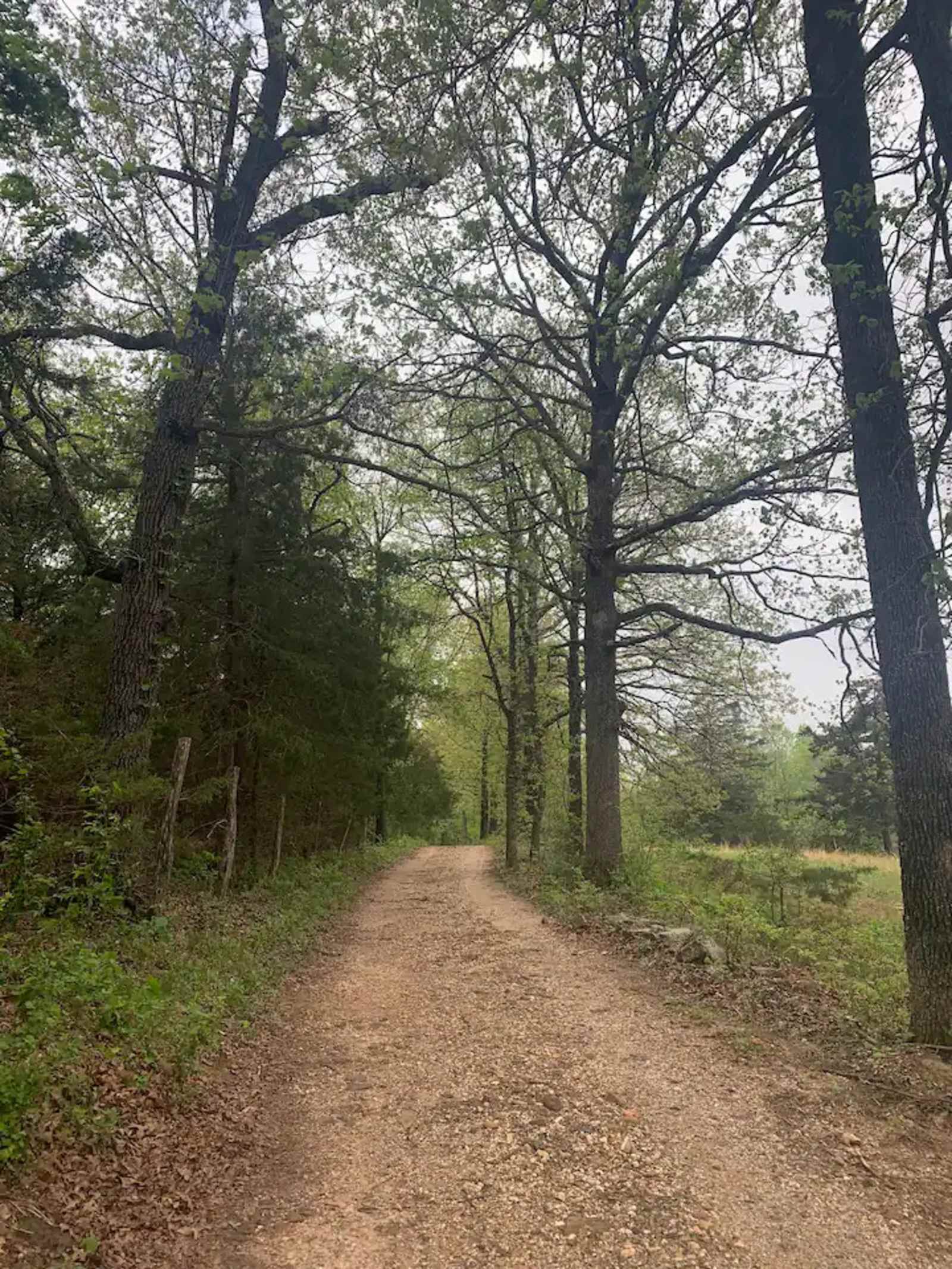 Bug Tussle Ridge - Fayetteville, Arkansas - glamping.directory