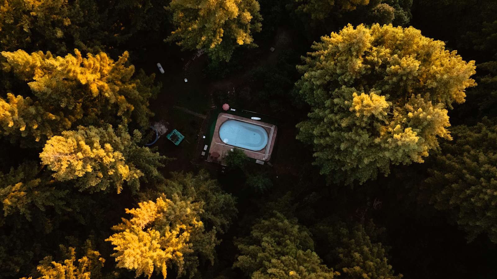 Redwood Paradise Camping - glamping.directory