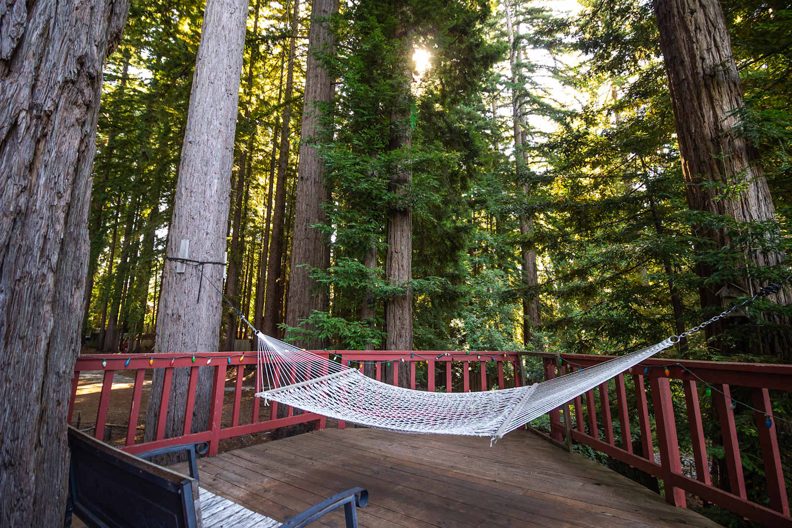 Redwood Paradise Camping - California - glamping.directory