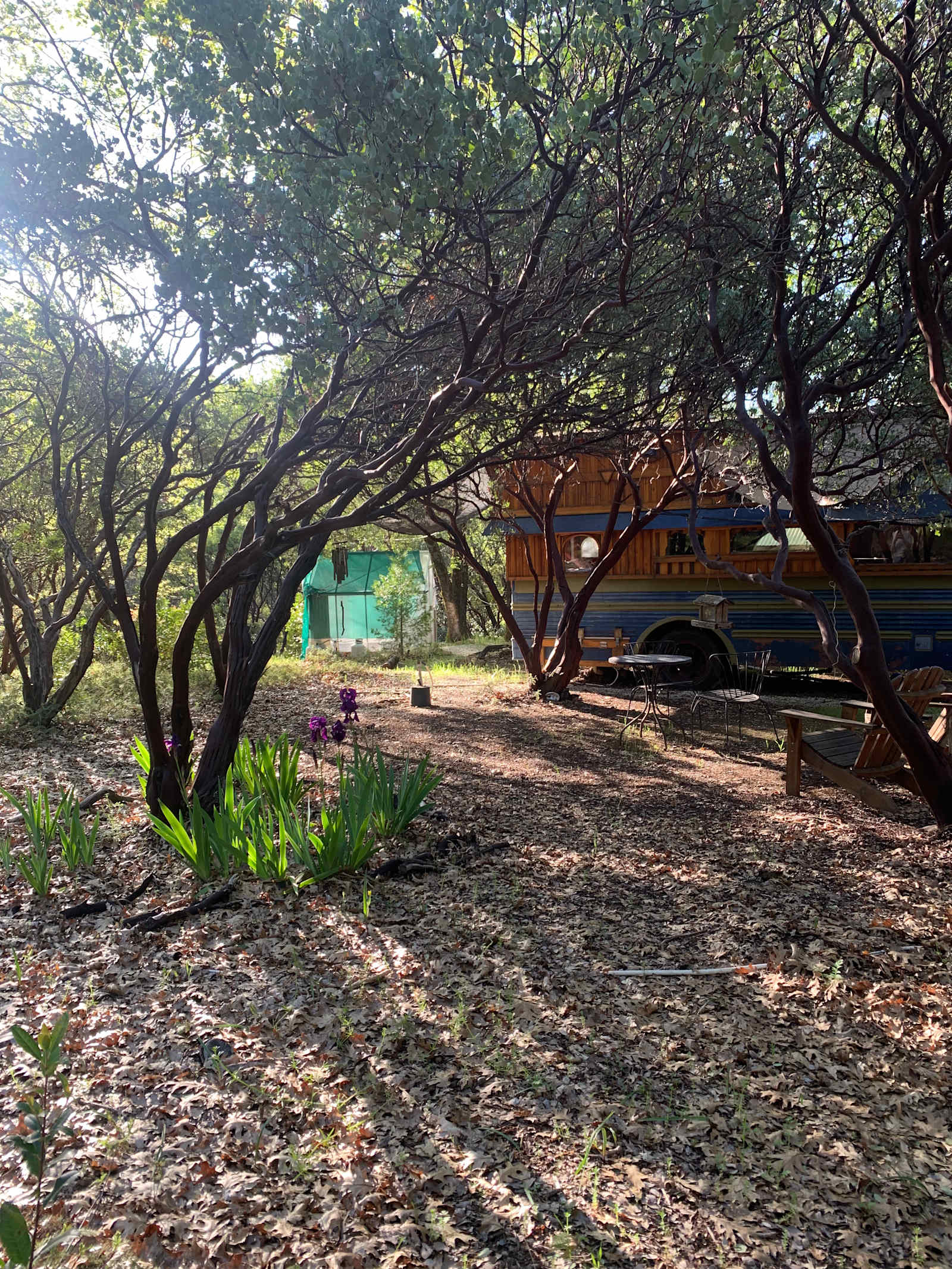 The Land: An Off-grid Refuge - Nevada City, California - glamping.directory