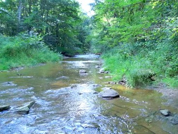 Idyllic Family Cabin with a Private Beach for a Getaway from Akron, Ohio - Wooster, Ohio - glamping.directory