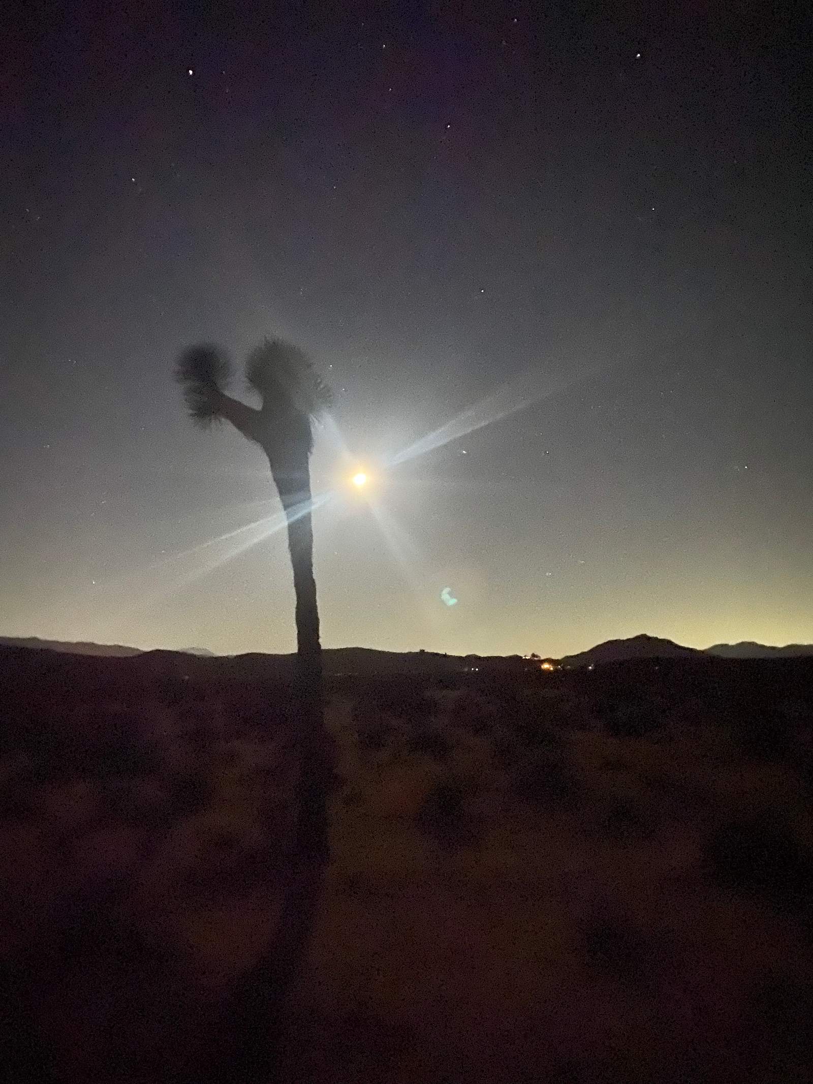 Sky View Camp - Joshua Tree, California - glamping.directory