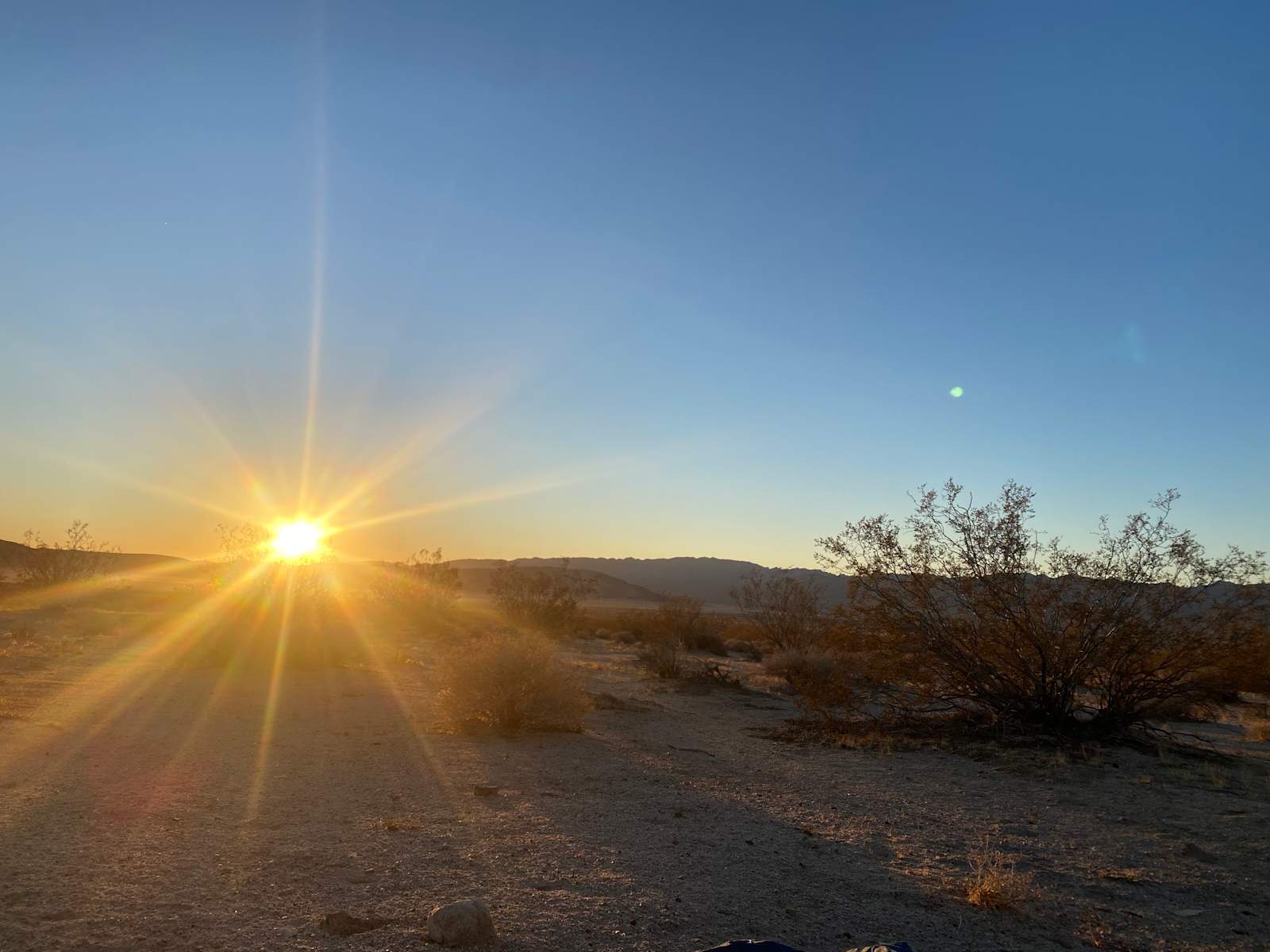 Sky View Camp - Joshua Tree, California - glamping.directory
