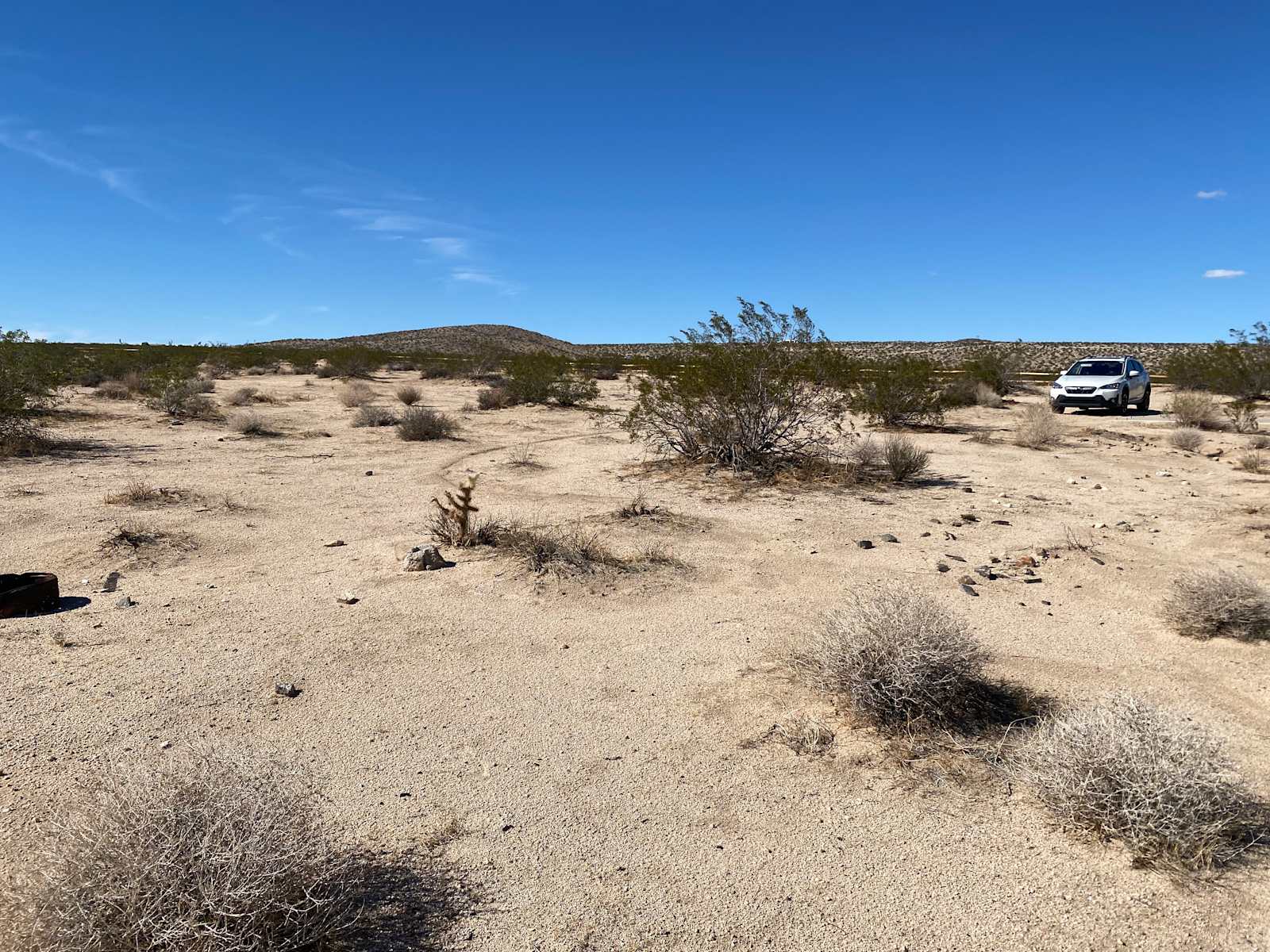 Sky View Camp - Joshua Tree, California - glamping.directory