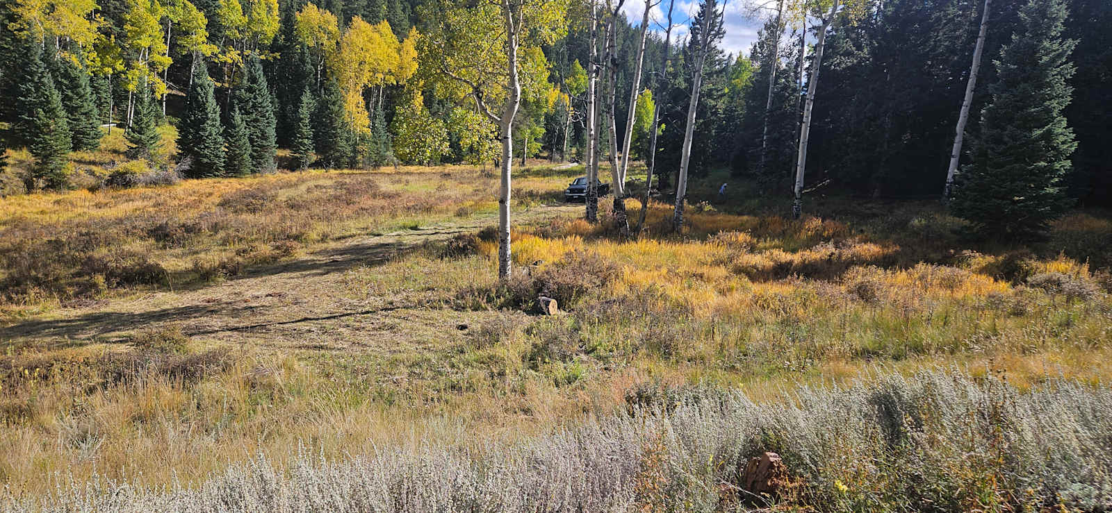 Crystola Creek under Pikes Peak - Woodland Park, Colorado - glamping.directory