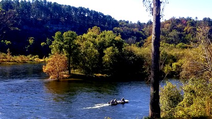 Arkansas River Paradise: Cabin with Large Deck Overlooking Breathtaking Views - Calico Rock, Arkansas - glamping.directory