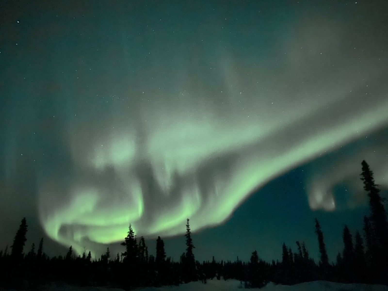 Stump Creek B&B - Palmer, Alaska - glamping.directory