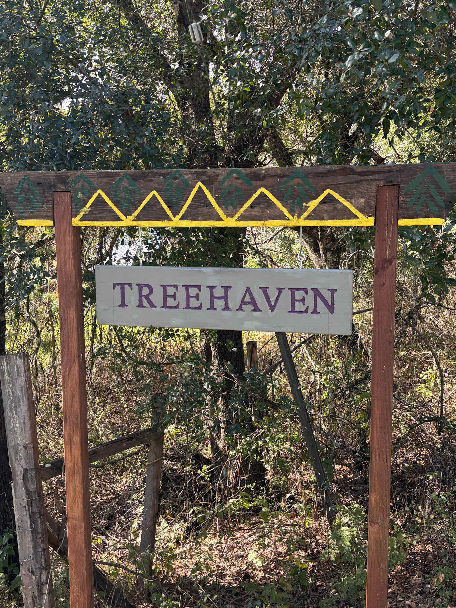 TreeHaven - glamping.directory