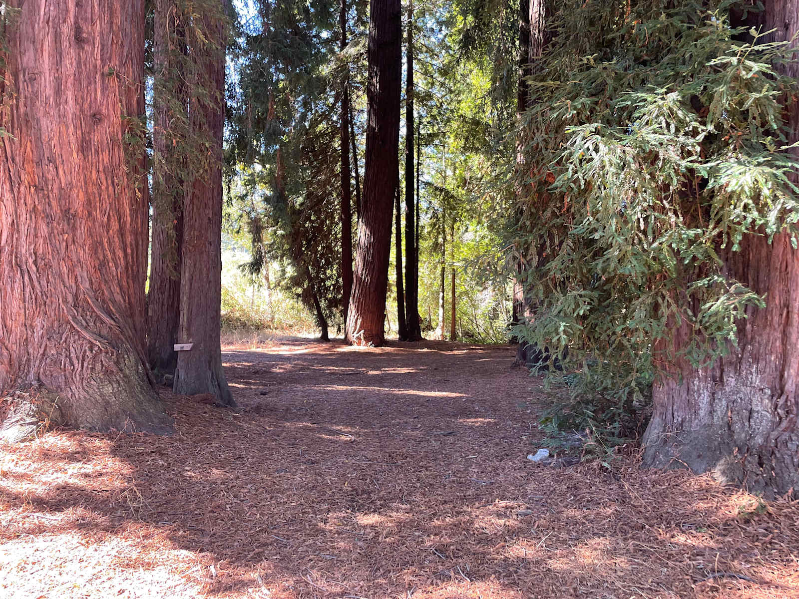 TreeHaven - Philo, California - glamping.directory