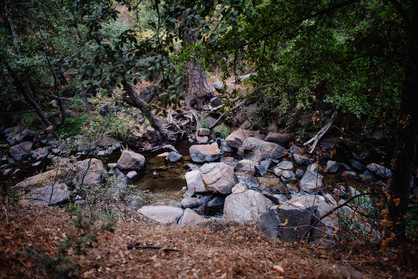 Hidden Falls Yosemite Camp - Oakhurst, California - glamping.directory