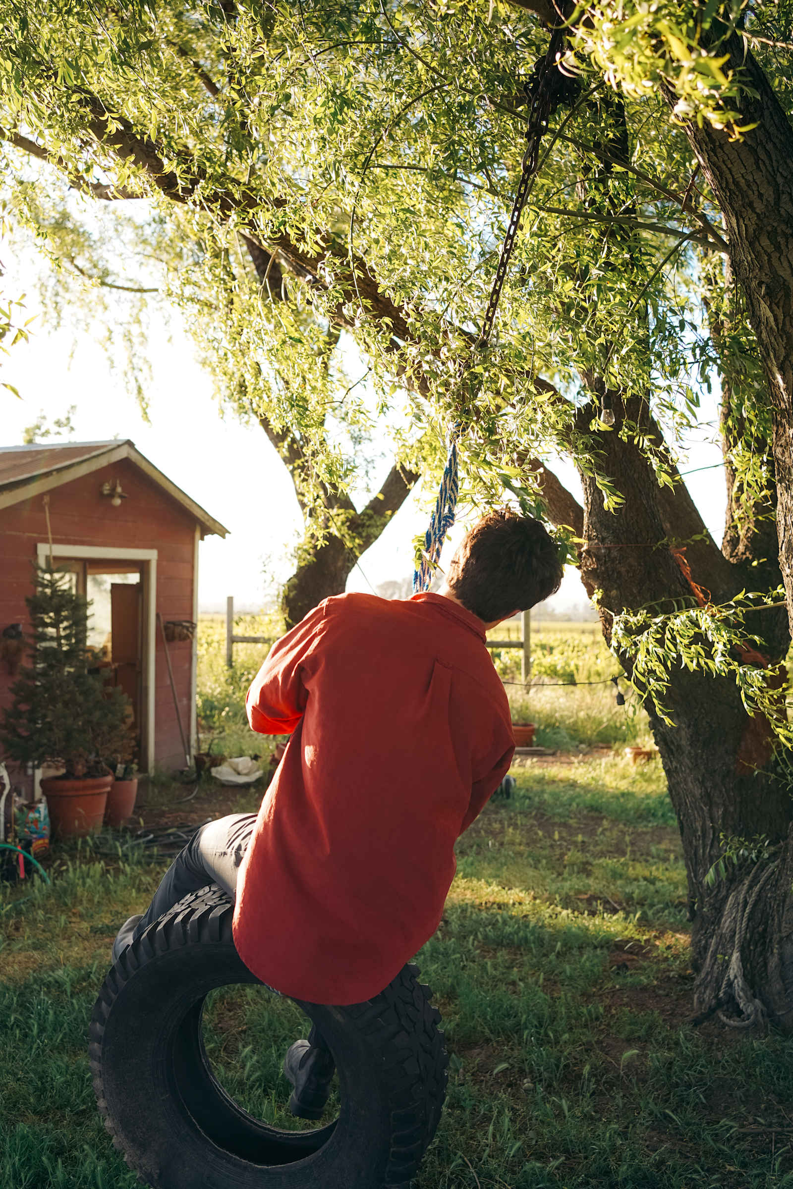 Studdert Family Farm - Temelec, California - glamping.directory