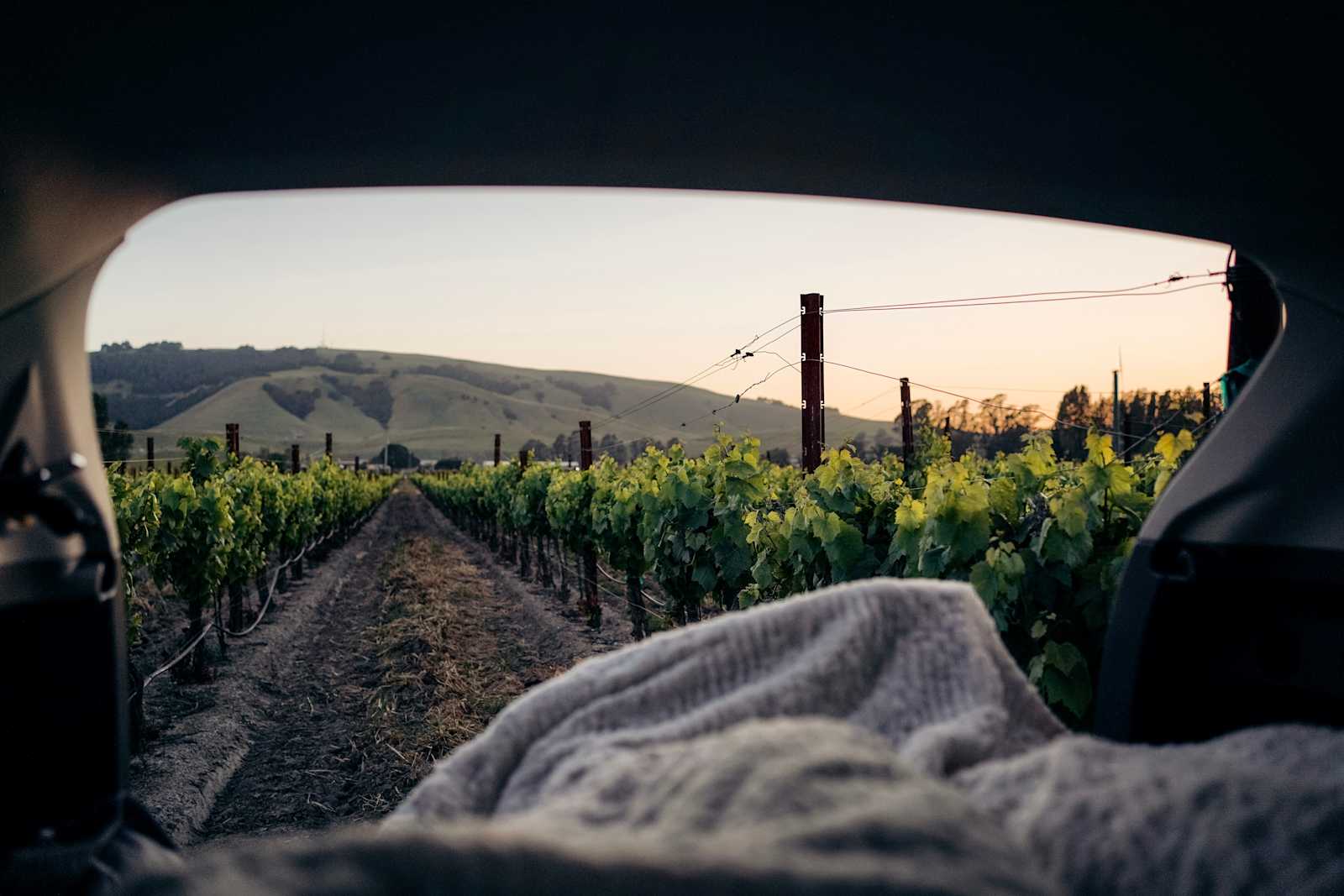 Studdert Family Farm - Temelec, California - glamping.directory