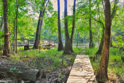 Peaceful Pet-Friendly Cabin Rental on St. Marks River near Tallahassee, Florida - Crawfordville, Florida - glamping.directory
