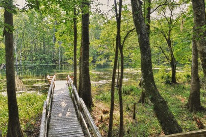 Peaceful Pet-Friendly Cabin Rental on St. Marks River near Tallahassee, Florida - Crawfordville, Florida - glamping.directory