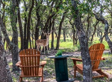Rustic Hill Country Cabin with Milky Way Stargazing & Wildlife Views near Mountain Home, TX - Mountain Home, Texas - glamping.directory