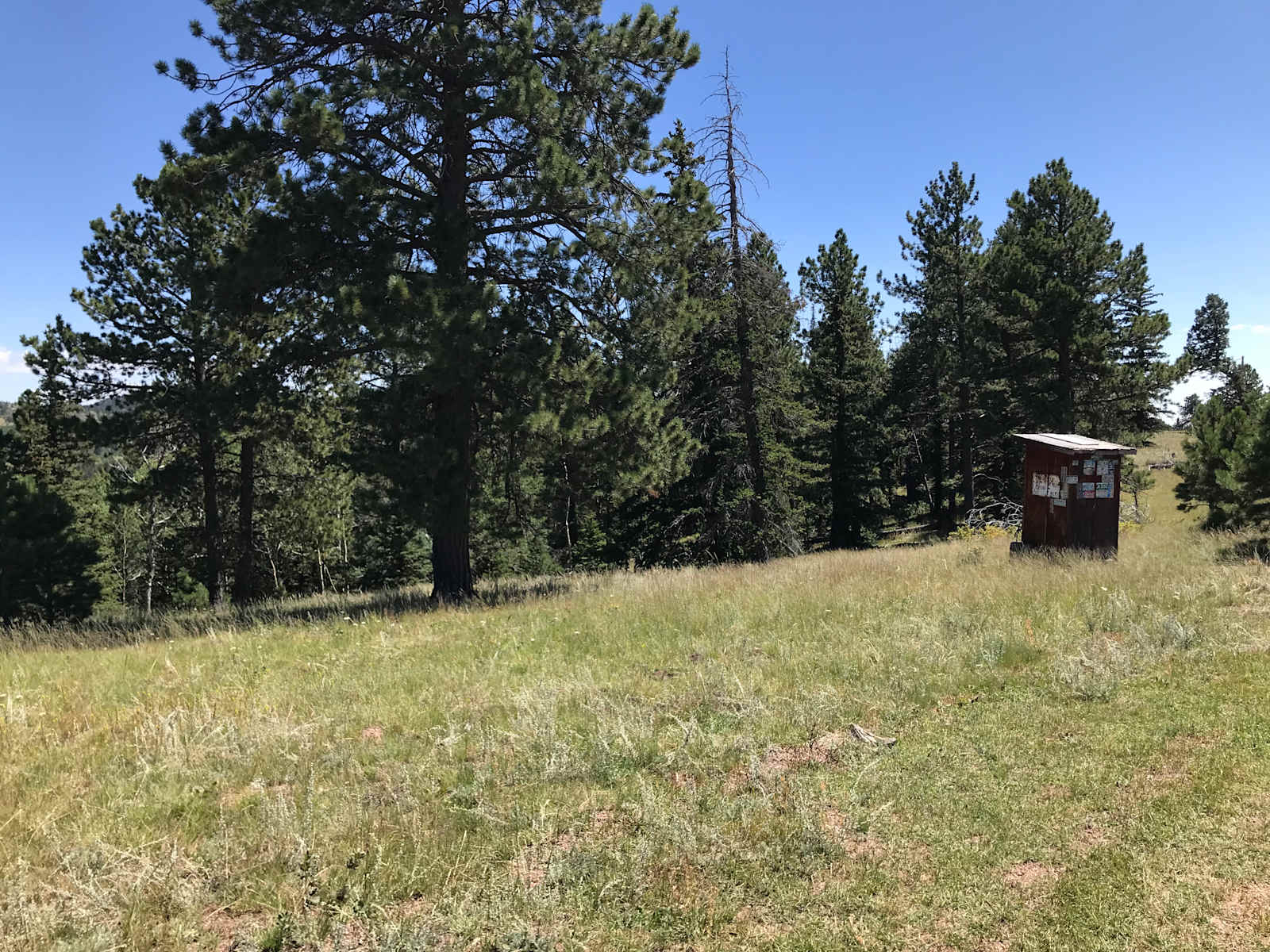 Alta Vista Disc Golf Ranch - Victor, Colorado - glamping.directory