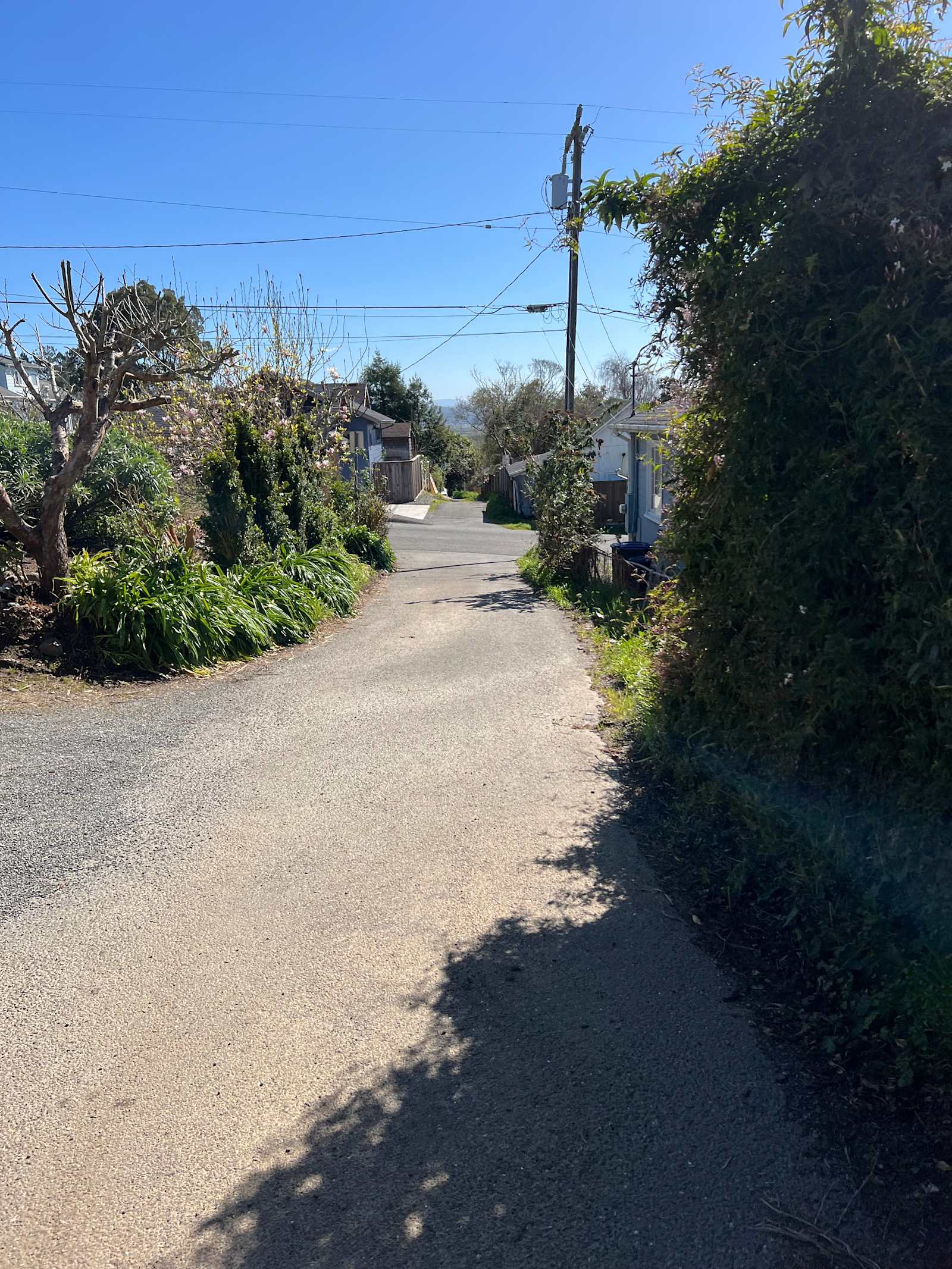 Drive Way Getta Away… - Arcata, California - glamping.directory