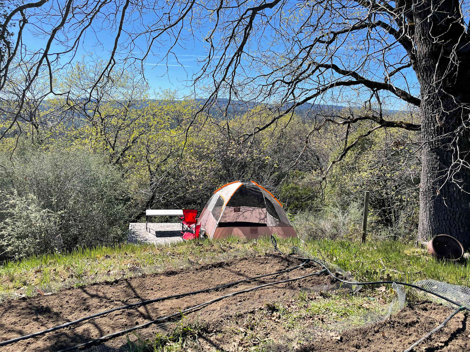 Sunrise Farm - Camptonville, California - glamping.directory