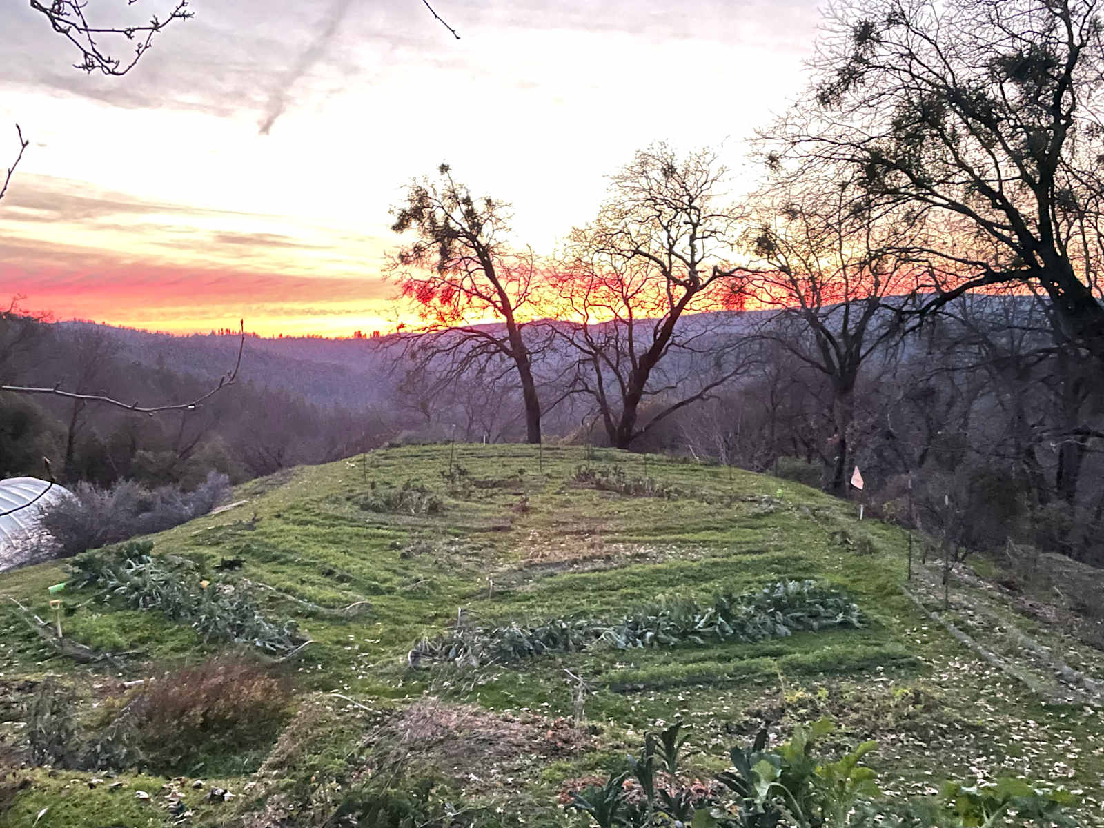 Sunrise Farm - glamping.directory