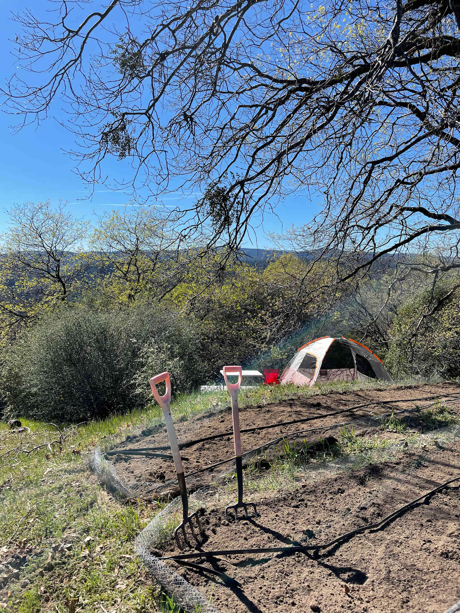 Sunrise Farm - Camptonville, California - glamping.directory
