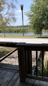 Lakeside Cabin for a Glamping Getaway near Tampa, Florida - Bradenton, Florida - glamping.directory