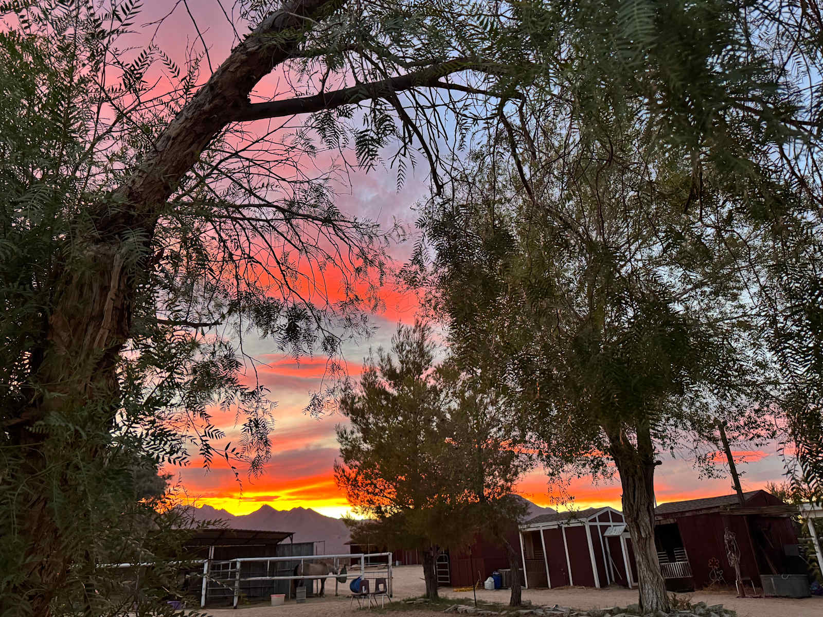 Camp with the Horses! Robison Ranch - Inyokern, California - glamping.directory