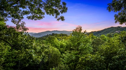 Incredible Cabin with Breathtaking Views Nestled in the Trees in Gatlinburg, Tennessee - Gatlinburg, Tennessee - glamping.directory