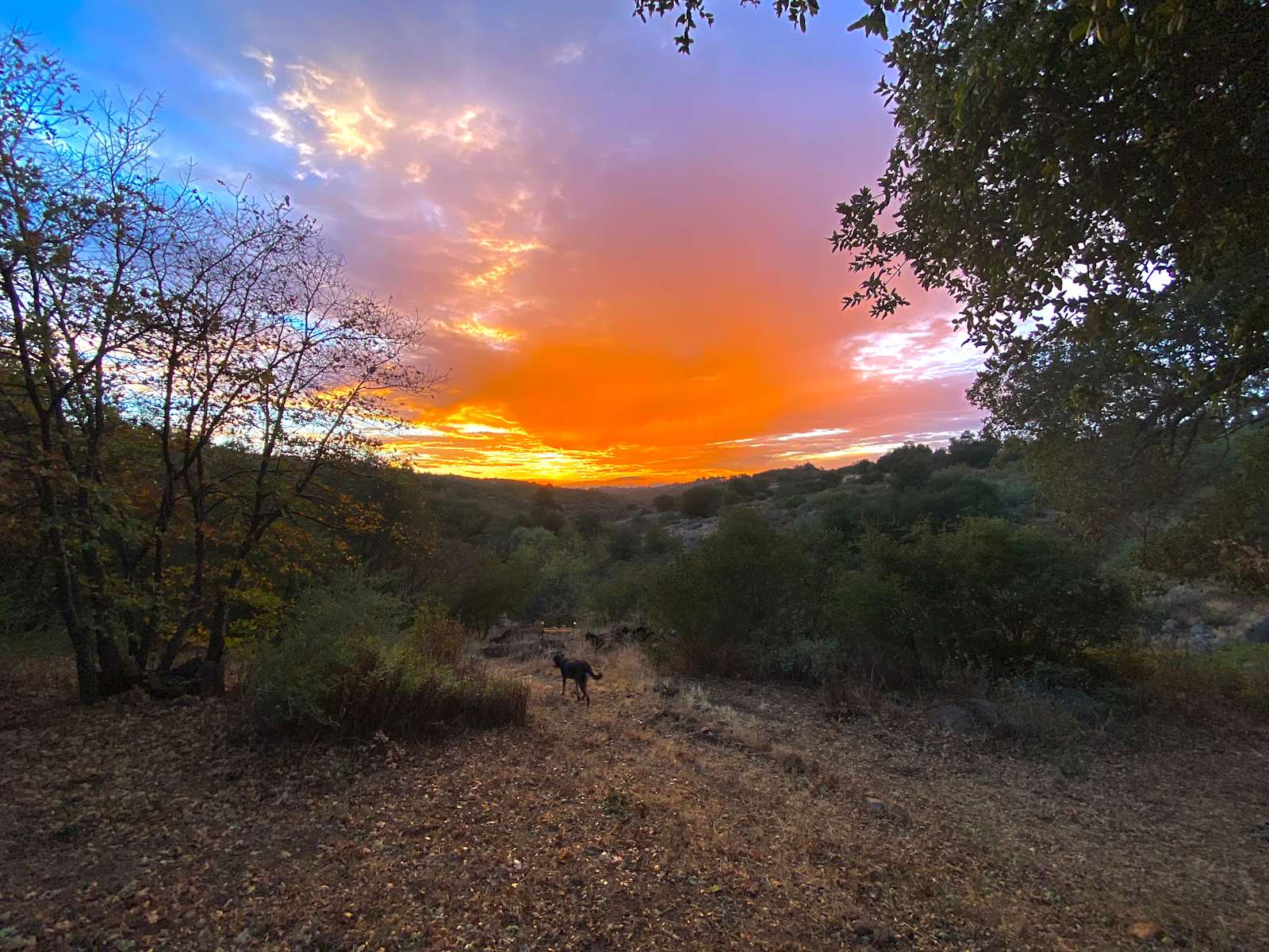 Svatantria Boutique Retreat - Julian, California - glamping.directory