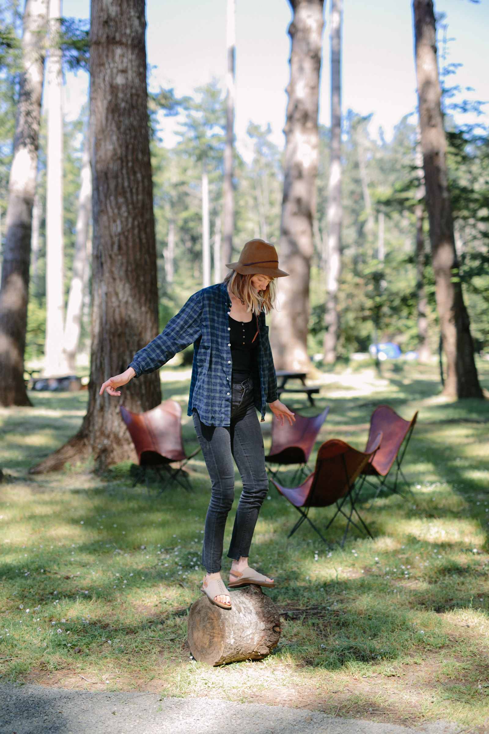 Mendocino Grove - Mendocino, California - glamping.directory