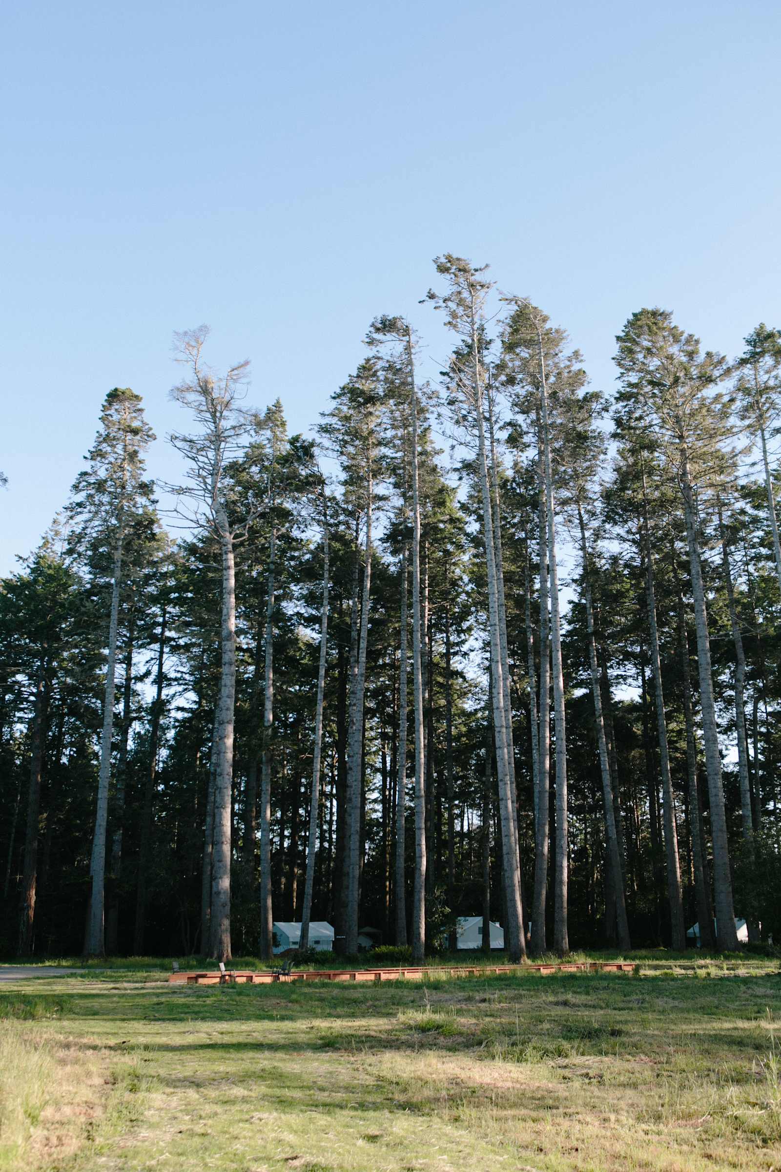Mendocino Grove - Mendocino, California - glamping.directory