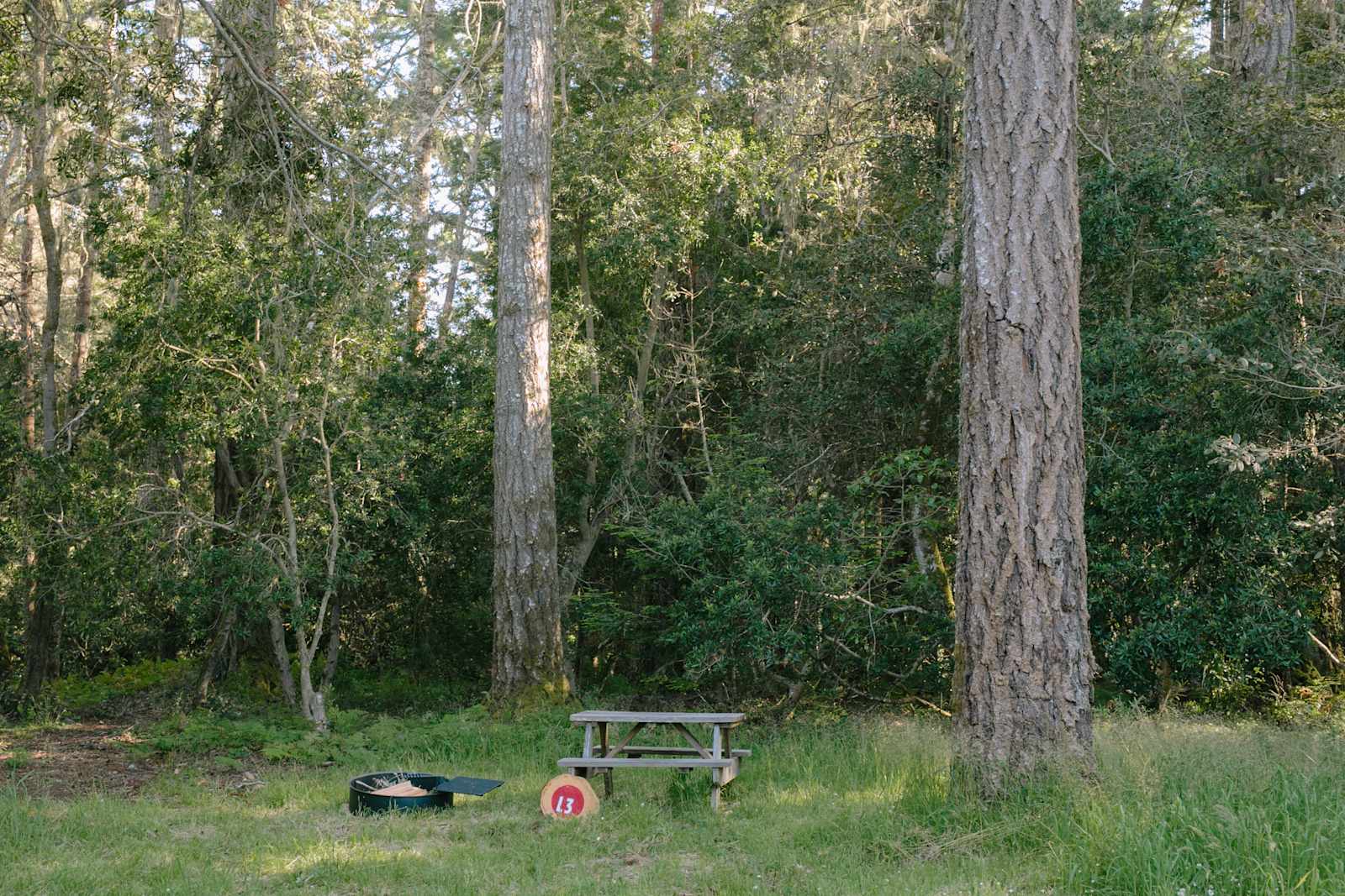 Mendocino Grove - Mendocino, California - glamping.directory